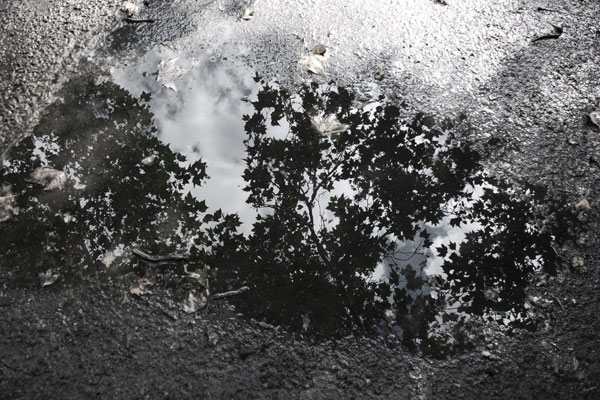 2010_08_29_steglitz-021-Kopie